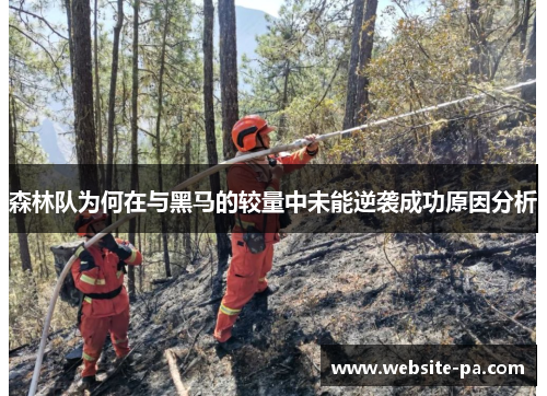 森林队为何在与黑马的较量中未能逆袭成功原因分析 森林队为何在与黑马的较量中未能逆袭成功原因分析