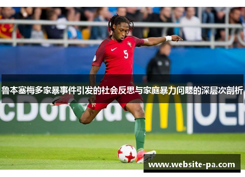鲁本塞梅多家暴事件引发的社会反思与家庭暴力问题的深层次剖析