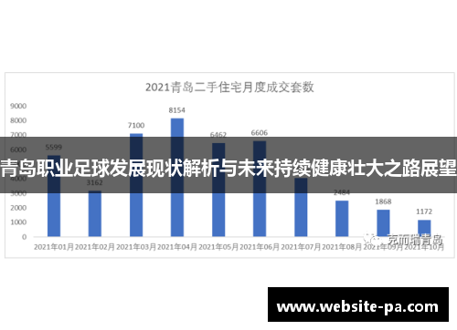 青岛职业足球发展现状解析与未来持续健康壮大之路展望