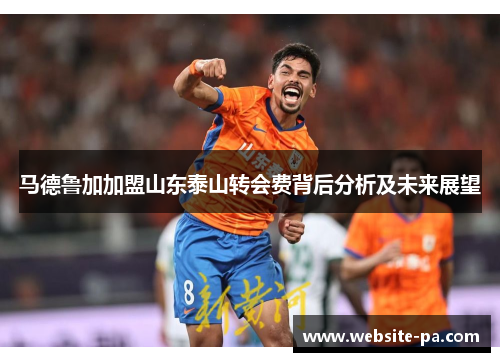 马德鲁加加盟山东泰山转会费背后分析及未来展望