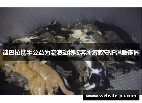 迪巴拉携手公益为流浪动物收容所筹款守护温暖家园